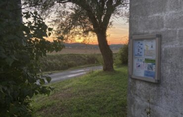 544581428_10233138259187087_6557480580698517434_n